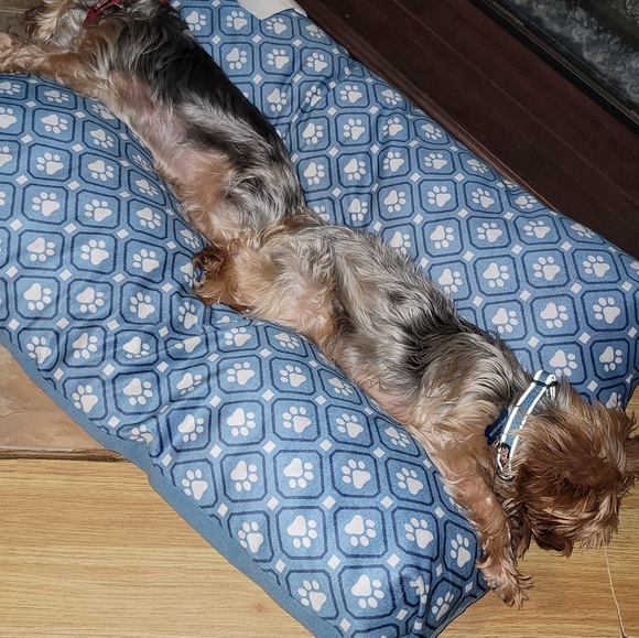 Meet your Posher, Nancy - Picture 2 of 3